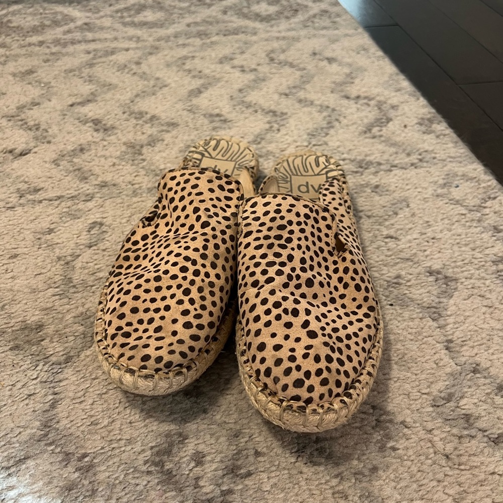 DV slides